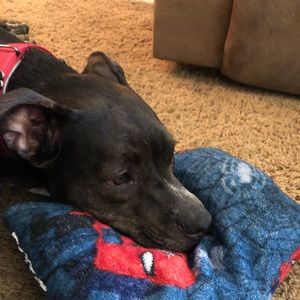 Meet your Posher, Anaiyah